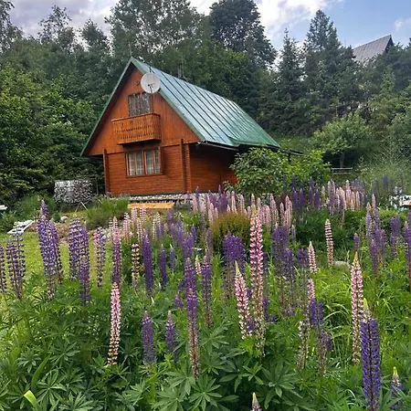 山林小屋 Retro *