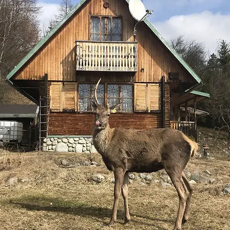 Retro Orman Evi Stará Lesná